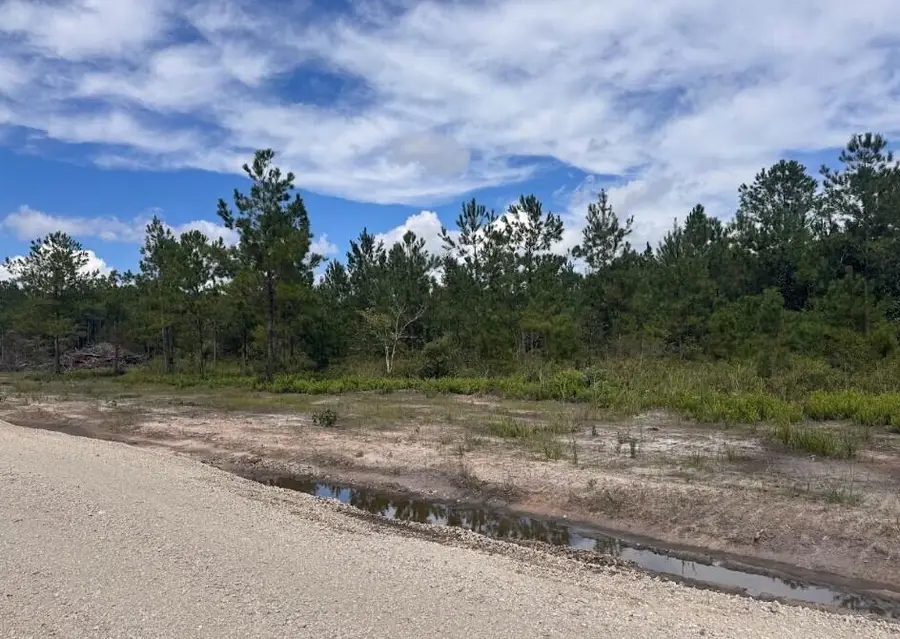 Lot 3 Walker Road, Ridgeville, SC 29472 - #3