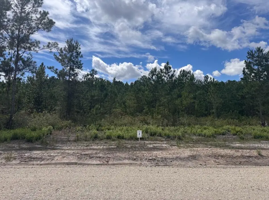 Lot 4 Walker Road, Ridgeville, SC 29472 - #1