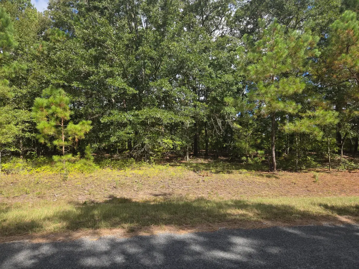 0 Prospect Street, Bowman, SC 29018 - #1