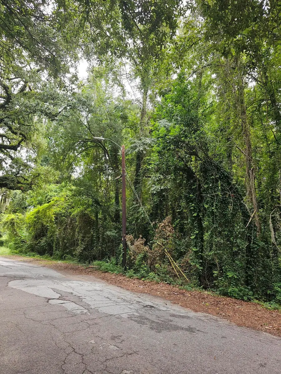 0 Moore Street, Walterboro, SC 29488 - #3