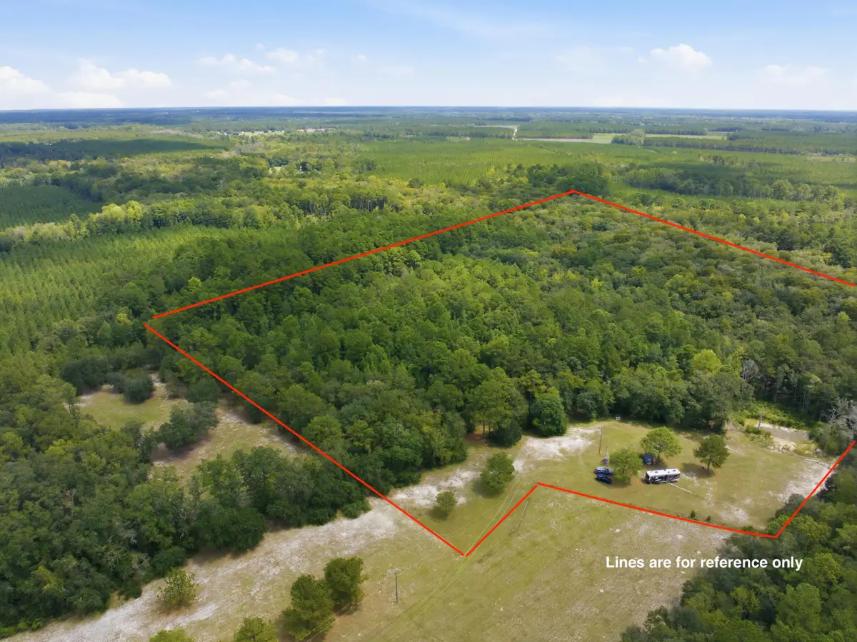 202 Alford Place, Walterboro, SC 29488 - #1