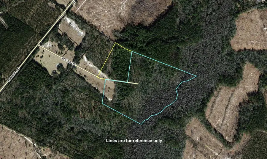 202 Alford Place, Walterboro, SC 29488 - #2