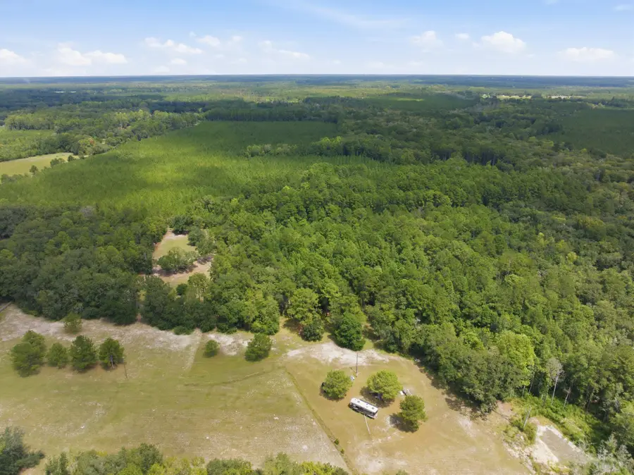 202 Alford Place, Walterboro, SC 29488 - #3
