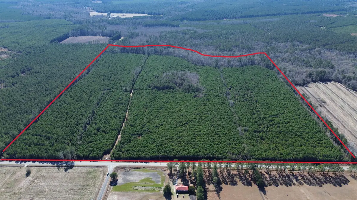 0 Seaboard Road, Andrews, SC 29510 - #1