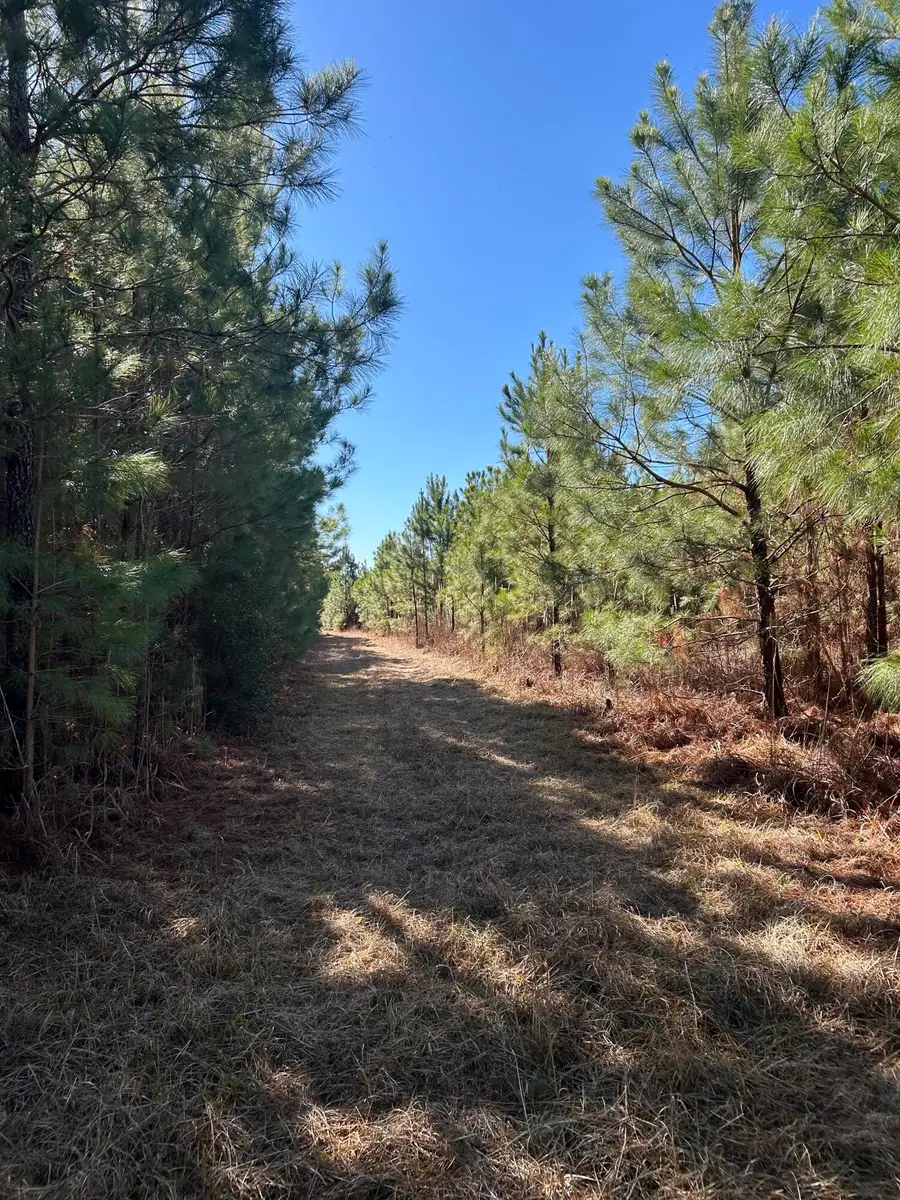 0 Seaboard Road, Andrews, SC 29510 - #3