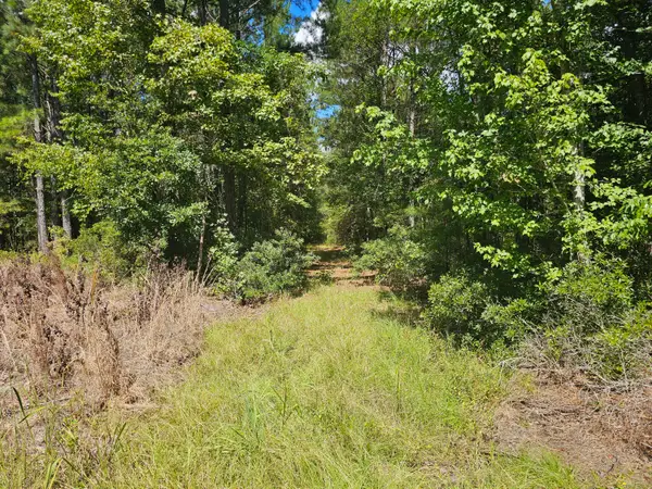 0 Mcalhany Road, Reevesville, SC 29471