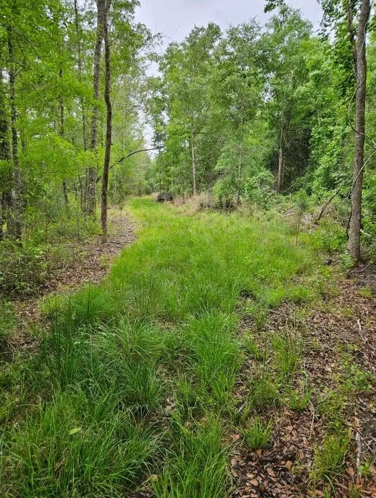 1300 Misty Ridge Lane, Walterboro, SC 29488 - #1