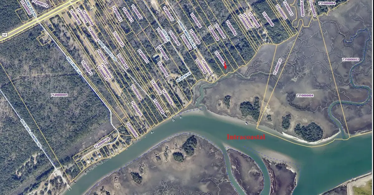 0 Intracoastal Waterway, McClellanville, SC 29458 - #1