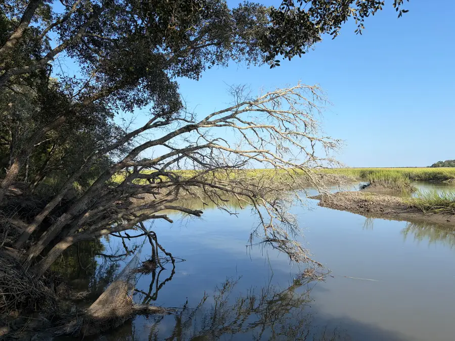 0 Intracoastal Waterway, McClellanville, SC 29458 - #3