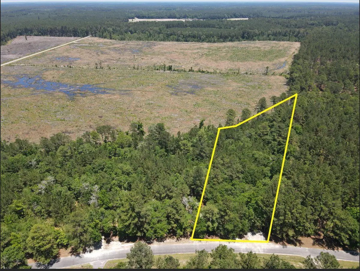 0000 Tumbleweed Road, Smoaks, SC 29481 - #1