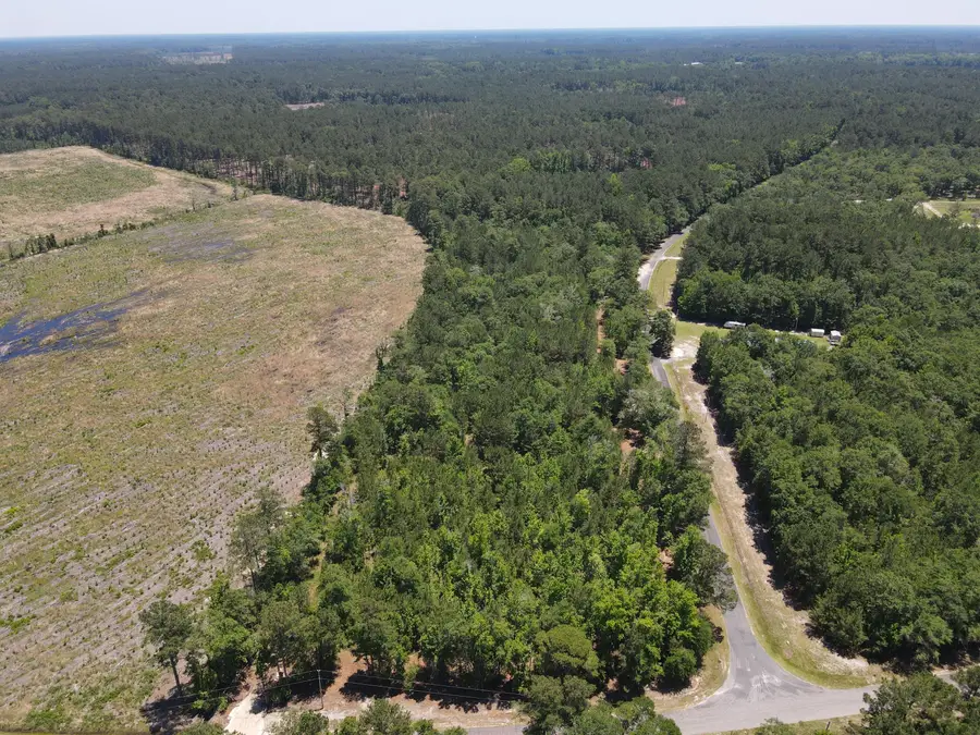 0000 Tumbleweed Road, Smoaks, SC 29481 - #3