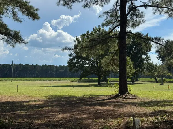 00 Caw Caw Swamp, Brunson, SC 29911