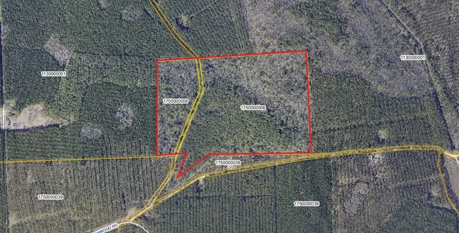 00 Greenwood Road, Adams Run, SC 29426 - #3