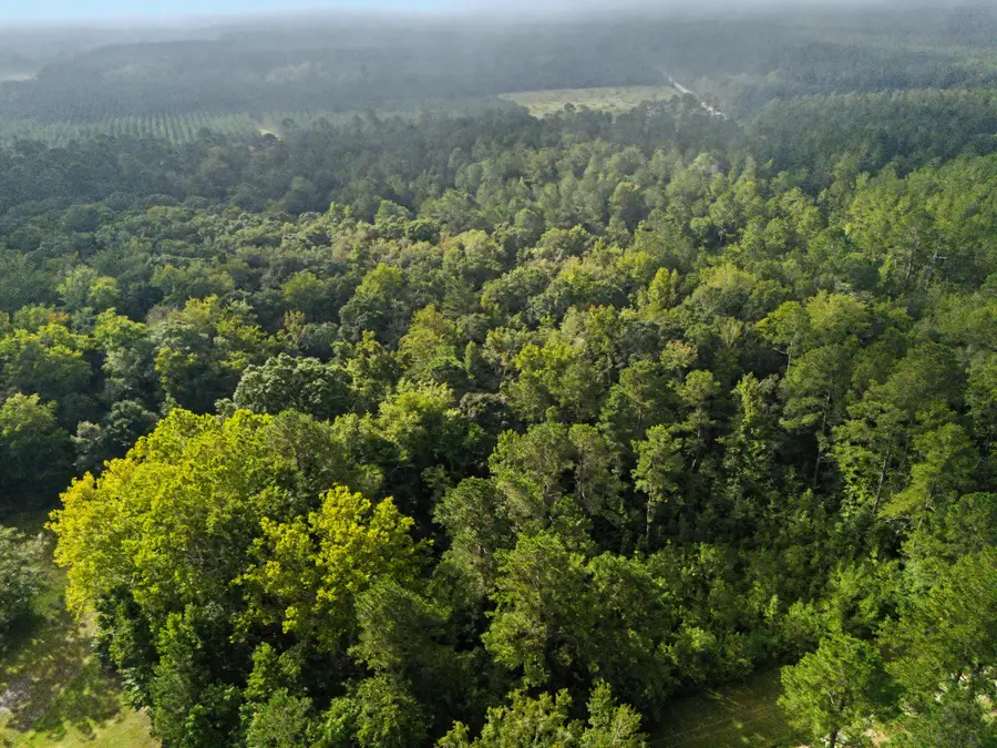 0 Tree Farm Road, Walterboro, SC 29488 - #3