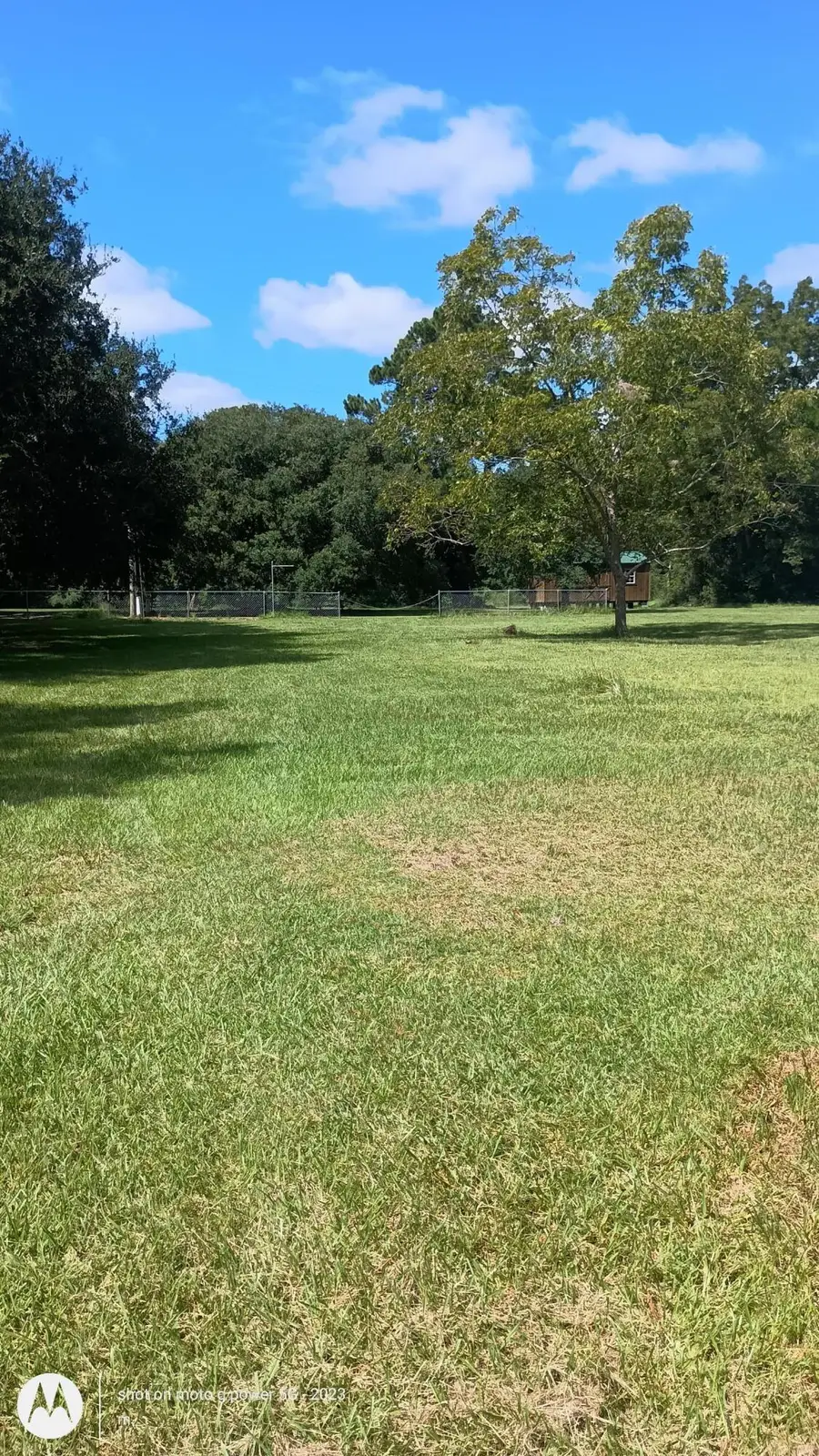 15771 Bennetts Point Road, Green Pond, SC 29446 - #2