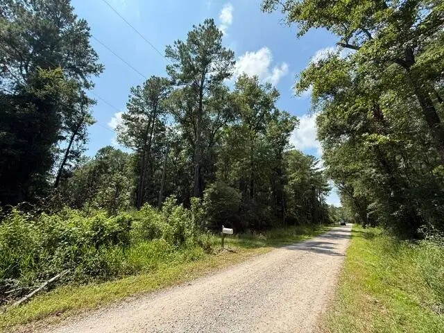 0000 Log Cabin Lane, Smoaks, SC 29481 - #2