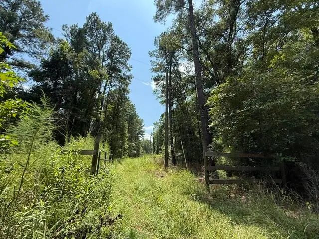 0000 Log Cabin Lane, Smoaks, SC 29481 - #3