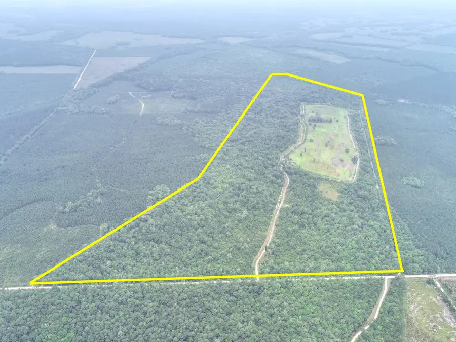 909 Getaway Lane, Pinopolis, SC 29469 - #2