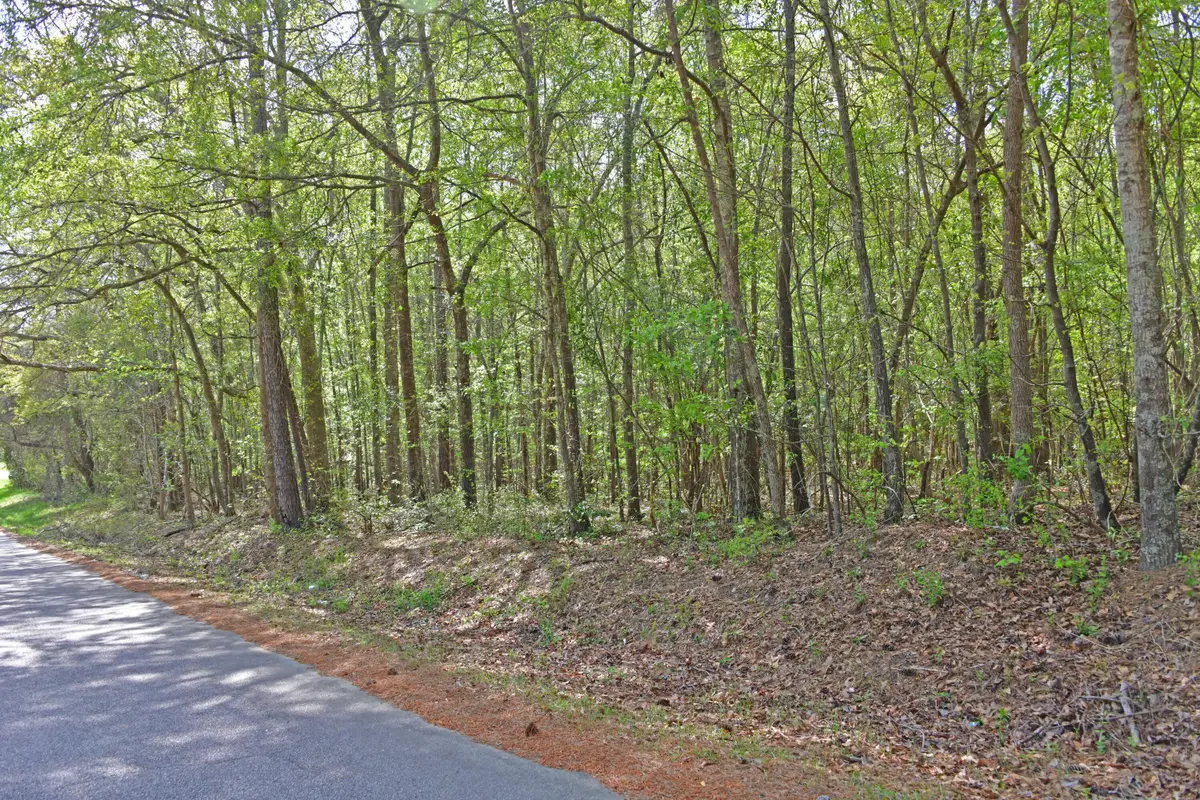 0 Ridgelake(lot 8,9,10,11) Circle, Saint Matthews, SC 29135 - #1