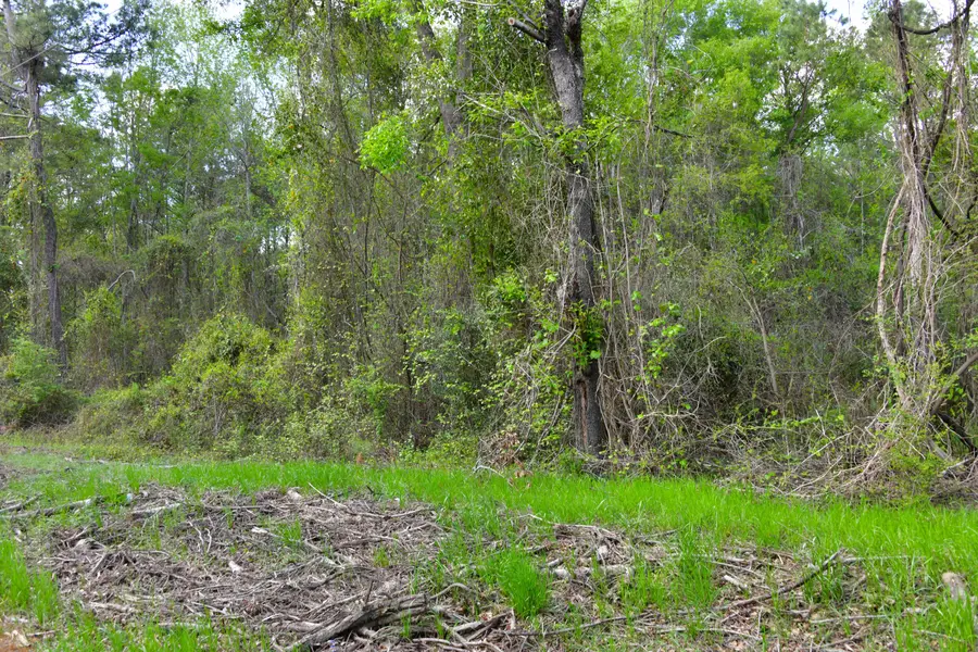 0 Ridgelake(lot 8,9,10,11) Circle, Saint Matthews, SC 29135 - #3