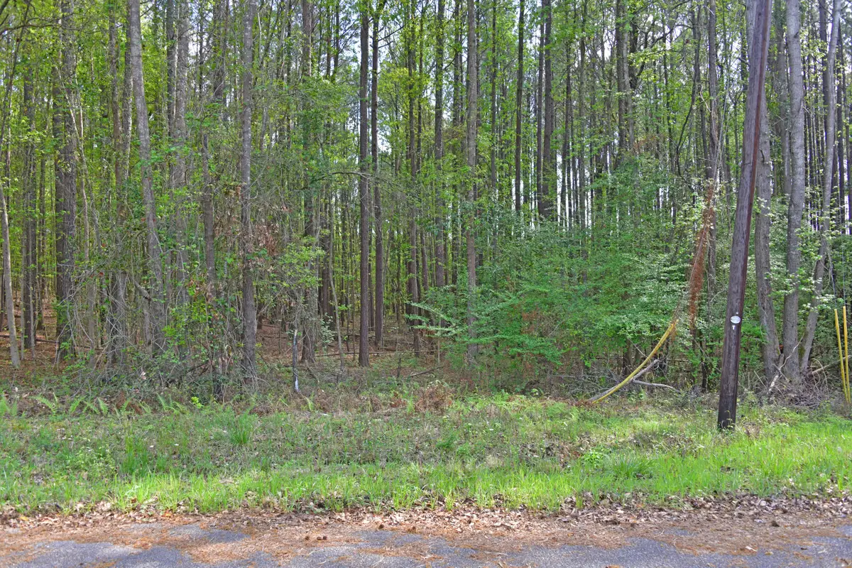 0 Ridgelake(lot 29) Circle, Saint Matthews, SC 29135 - #1
