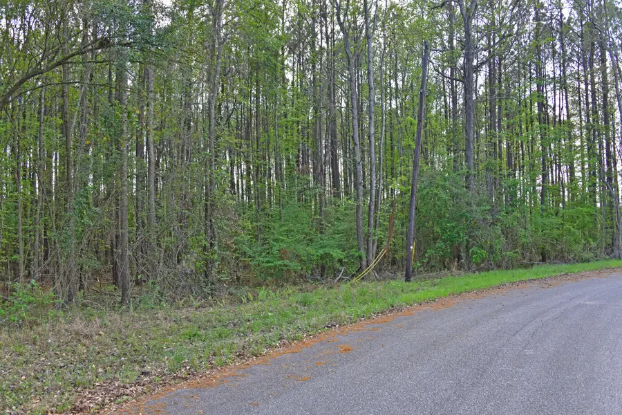 0 Ridgelake(lot 29) Circle, Saint Matthews, SC 29135 - #2