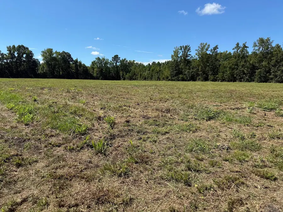 15828 Ace Basin (lot#2) Parkway, Round O, SC 29474 - #3
