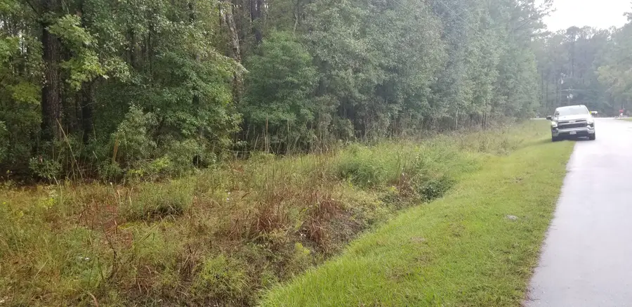 000 St Peters, Walterboro, SC 29488 - #3