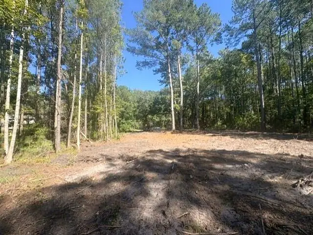 905 Toby Road, McClellanville, SC 29458 - #3