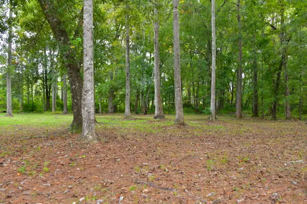 6441 Highway 162, Hollywood, SC 29449