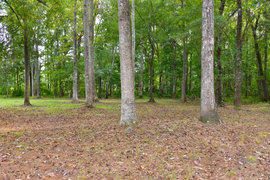 6441 Highway 162, Hollywood, SC 29449 - #2