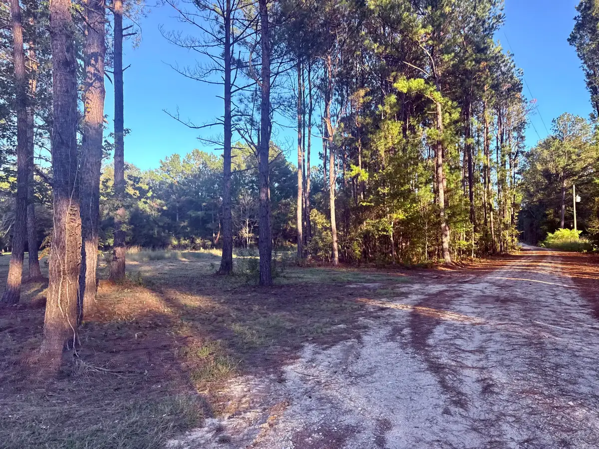 312 Heaven Drive, Saint Stephen, SC 29479 - #1