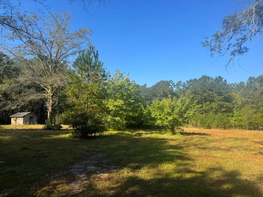 171 Winningham Road, Summerville, SC 29483 - #2