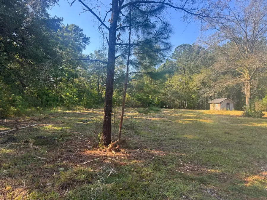 171 Winningham Road, Summerville, SC 29483 - #3