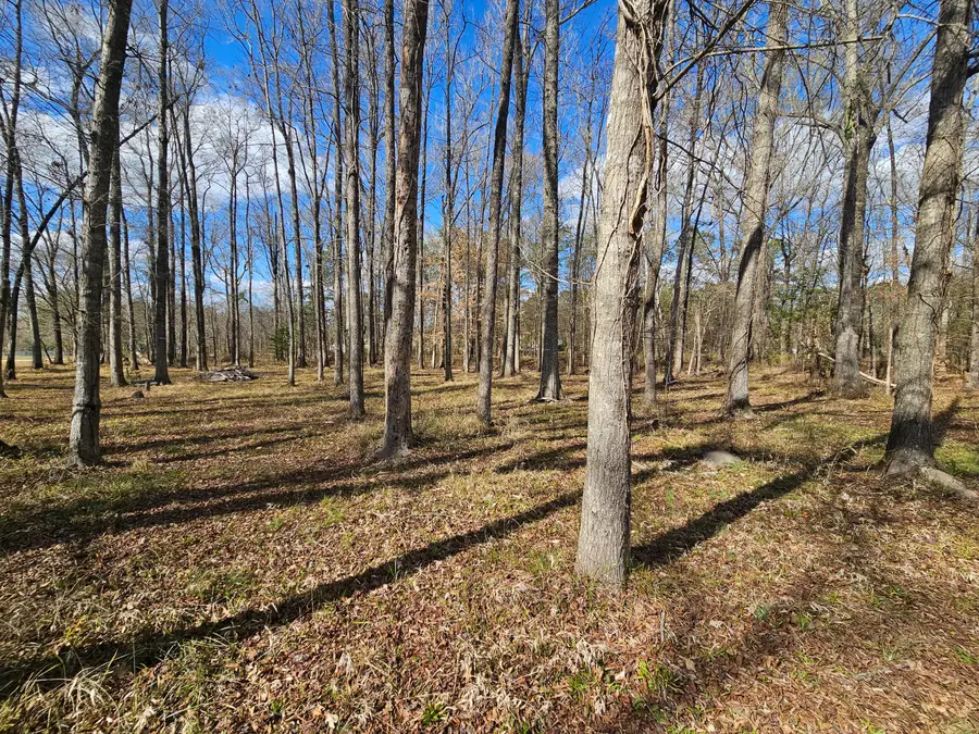 271 Winningham Road, Summerville, SC 29483 - #3