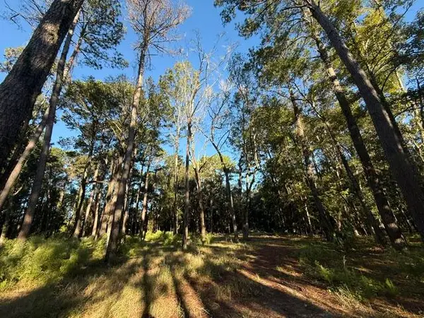 4274 River Road, Johns Island, SC 29455