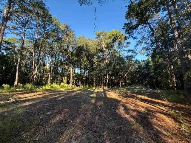 4274 River Road, Johns Island, SC 29455 - #3