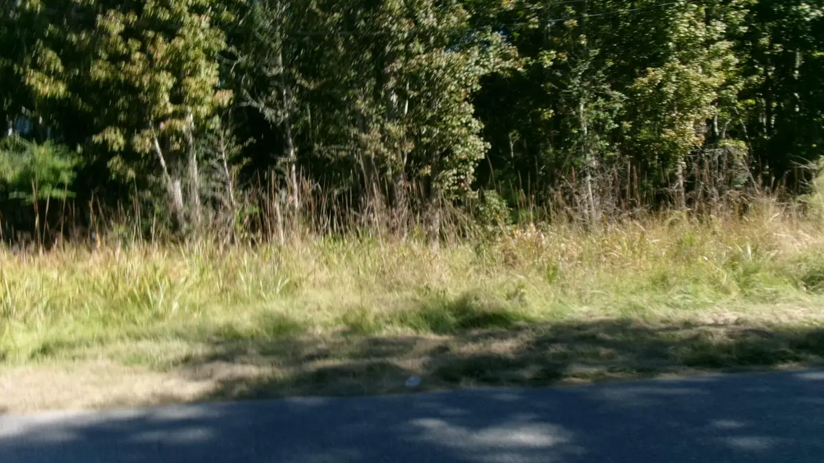 Lot 5 Manor Road, Hollywood, SC 29449 - #1