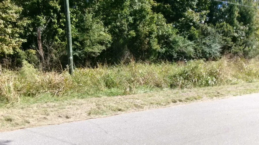 Lot 4 Manor Road, Hollywood, SC 29449 - #2