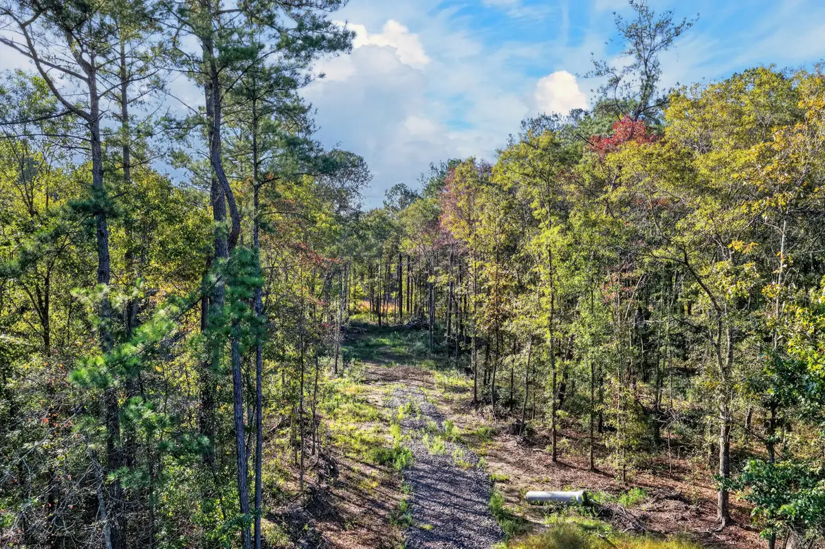 2553 N Highway 17a, Bonneau, SC 29431 - #1