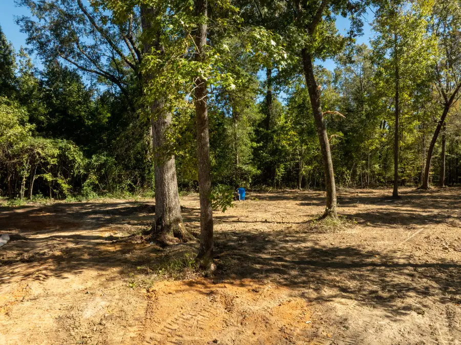 251 Pole Cat Way, Saint Stephen, SC 29479 - #3