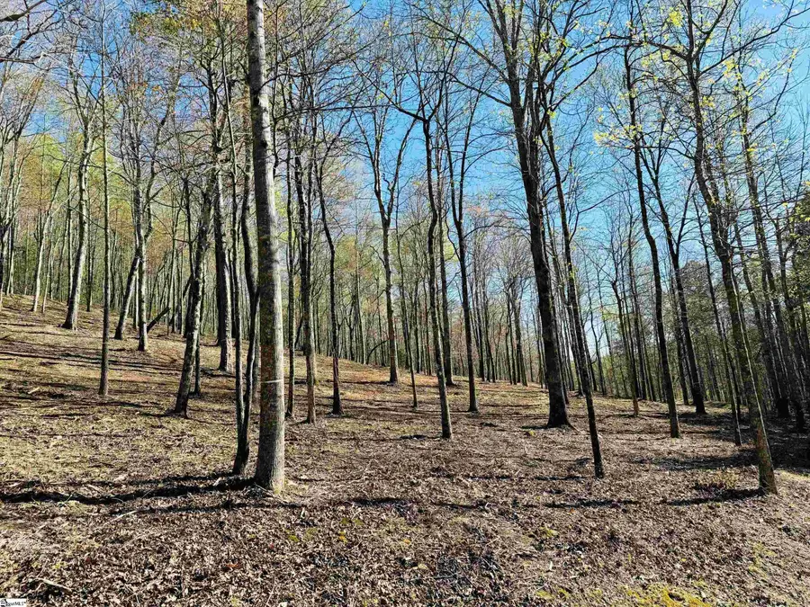 2 Buck Creek Trail, Travelers Rest, SC 29690 - #2