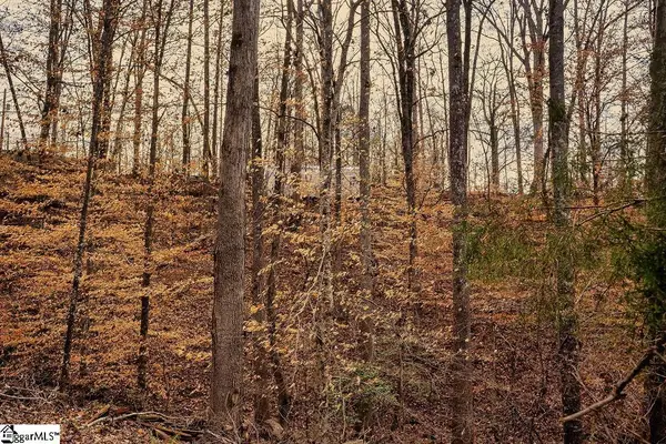 002 Blue Heron Cove, Abbeville, SC 29620