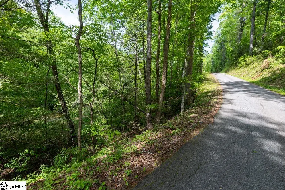 Saluda Drive, Marietta, SC 29661 - Image #1