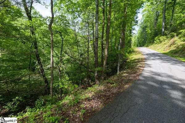 Saluda Drive, Marietta, SC 29661