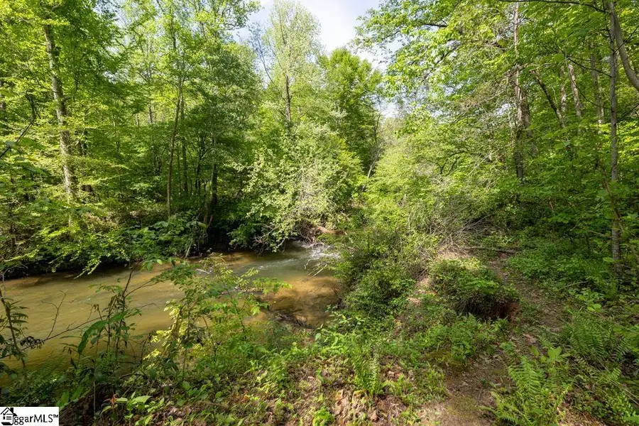 Saluda Drive, Marietta, SC 29661 - Image #2