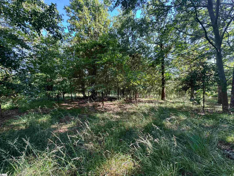 00 Farmers Hill Road, Liberty, SC 29657 - #2