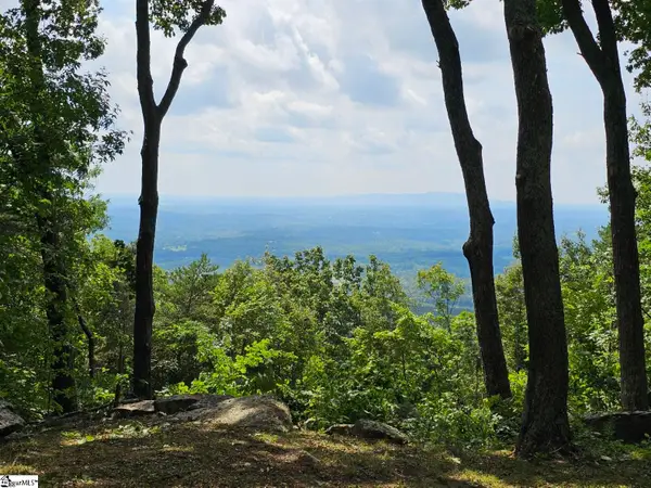 101 Southview Ledge Road, Landrum, SC 29356