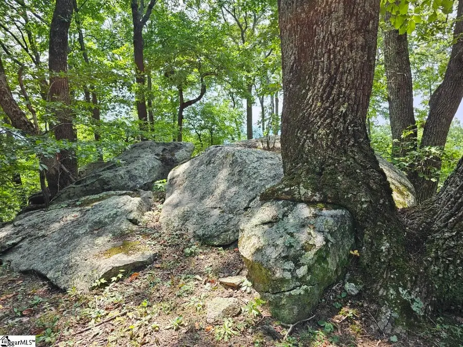 101 Southview Ledge Road, Landrum, SC 29356 - Image #3