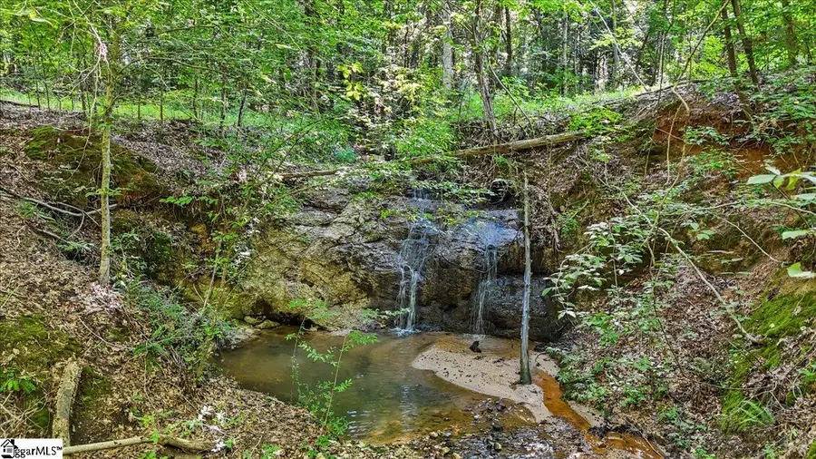 1443 Henderson Road, Gray Court, SC 29645 - #2